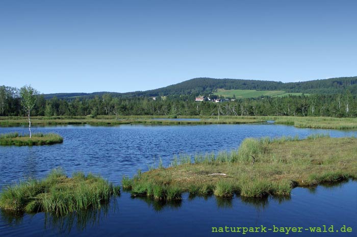 naturpark-bayer-wald.de
Naturpark Bayerischer Wald e.V.
Der Natur auf der Spur