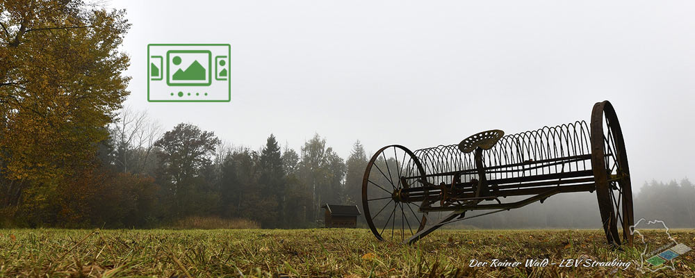 das slideshow-Fenster für 'pr.achtvoll.es' anzeigen ...

Der Rainer Wald ist einer der letzten großen Auwälder an der Donau in der Nähe von Straubing. Mit einigen Impressionen wollen wir Ihnen einen Besuch schmackhaft machen.