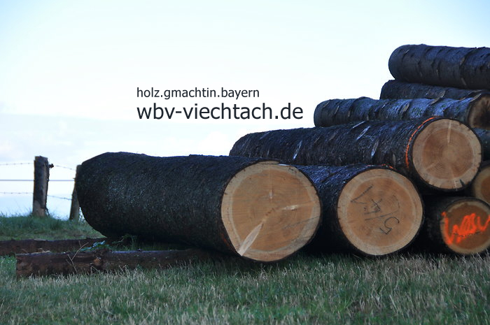 wbv-viechtach.de
Waldbesitzervereinigung Viechtach w.V.
WBV-Geschäftsstelle - Böbrach